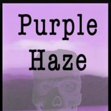 Savant Books Announces the Release of George Hudson's New Novel, 'Purple Haze'