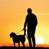 Aratana Therapeutics Announces Conditional Approval of Second Canine-Specific…