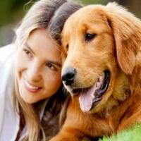 Reno Dog Training Author Opens First Of Several Dog Training Locations In Nevada