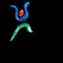 Royal Greenwich Festivals Presents Greenwich+Docklands International Festival, 20-28 