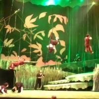 TV: Felicia Boswell, Nicholas Rodriguez & More in Highlights of Lyric Theatre's…