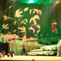 TV: Felicia Boswell, Nicholas Rodriguez & More in Highlights of Lyric Theatre's… Video