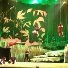 TV: Felicia Boswell, Nicholas Rodriguez & More in Highlights of Lyric Theatre's TARZA