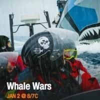 Animal Planet to Premiere Three-Hour Event WHALE WARS, Today