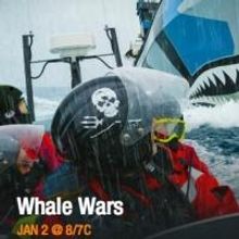 Animal Planet to Premiere Three-Hour Event WHALE WARS, Today