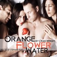 25 PLAYS PER HOUR, ORANGE FLOWER WATER and More Set for Hollywood Fringe 2013