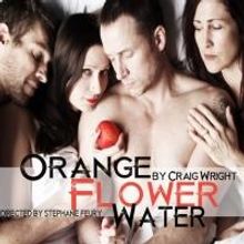 25 PLAYS PER HOUR, ORANGE FLOWER WATER and More Set for Hollywood Fringe 2013