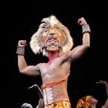 Disney's THE LION KING Grosses Over $11.75 Million During 7 Week Toronto Engagement