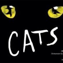 bergenPAC to Offer Sneak Peek of the Performing Arts School's CATS, 7/15