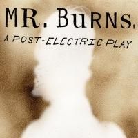 Discounted Pre-Sale Tickets for Playwrights Horizons' MR. BURNS Now On Sale