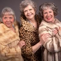 Meadow Brook Theatre to Stage 70, GIRLS, 70, 5/29-6/23