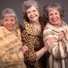 Meadow Brook Theatre to Stage 70, GIRLS, 70, 5/29-6/23