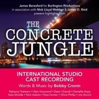 Kate Shindle, Gerard Canonico and More Set for Bobby Cronin's CONCRETE JUNGLE Album Release Concert, 3/6