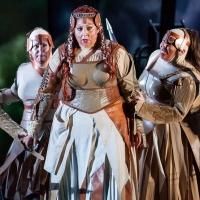 BWW Reviews: DIE WALKURE at Houston Grand Opera, Wunderbar Photo