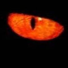 JUNGALBOOK to Open 7/25 at Sam Bass Theatre