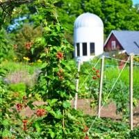 Connecticut Resort Launches Working Farm and Restaurant