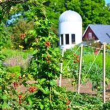 Connecticut Resort Launches Working Farm and Restaurant