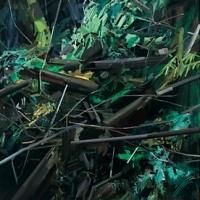 WOODS, LOVELY, DARK AND DEEP Opens Today at DC Moore Gallery