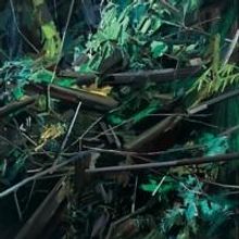 WOODS, LOVELY, DARK AND DEEP Opens Today at DC Moore Gallery