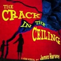 James Harvey's THE CRACK IN THE CEILING Set for NYMF at Theatre Row's The Studio…