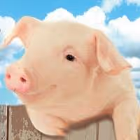 Oregon Children's Theatre Presents CHARLOTTE'S WEB, Now thru 2/16