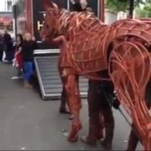 STAGE TUBE: Joey the WAR HORSE Visits WEST END LIVE 2013!