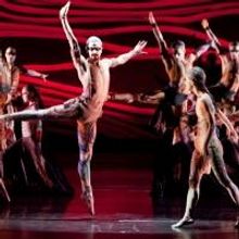 BWW Review: Houston Ballet's Must See Primal RITE OF SPRING is Riveting