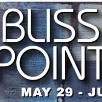 Cornerstone Theater Presents BLISS POINT, Now thru 6/22