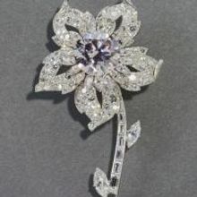 Queen's Diamond Wattle Brooch Now On Display at Sydney Powerhouse Museum