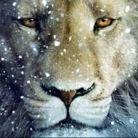 THE CHRONICLES OF NARNIA: THE LION, THE WITCH & THE WARDROBE Set for Lakewood…