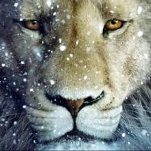 THE CHRONICLES OF NARNIA: THE LION, THE WITCH & THE WARDROBE Set for Lakewood Playhou