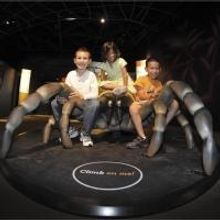 The American Museum of Natural History Presents SPIDERS ALIVE!, Opens Today