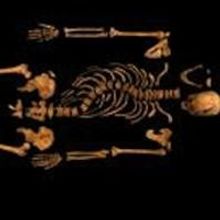 Folger Shakespeare Library to Host 'FINDING RICHARD' Talk, 2/5