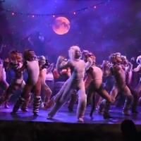 STAGE TUBE: Sneak Peek at Taylor Dayne and More in Highlights of CATS at…