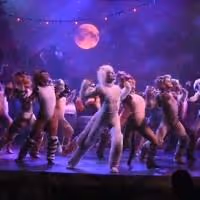 STAGE TUBE: Sneak Peek at Taylor Dayne and More in Highlights of CATS at… Video