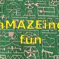 Best Corn Mazes and Fall Festivals Offer Extra Agri-Adventures for Families