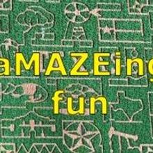 Best Corn Mazes and Fall Festivals Offer Extra Agri-Adventures for Families