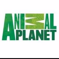 Animal Planet Premieres New Series RUGGED JUSTICE Tonight