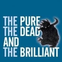 EDINBURGH 2014 - BWW Reviews: THE PURE, THE DEAD AND THE BRILLIANT, Assembly Rooms…