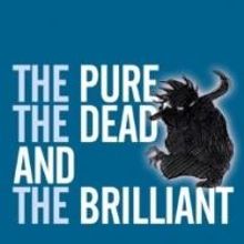 EDINBURGH 2014 - BWW Reviews: THE PURE, THE DEAD AND THE BRILLIANT, Assembly Rooms, A
