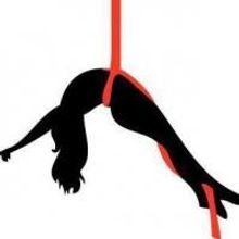 Aeriform Arts Studio Is Home to 'America's Got Talent' Contestant and Aerial Star An