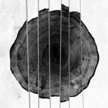 newportFILM & Newport Folk Festival to Host Screening of MUSICWOOD , Aug. 9 & 23