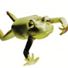 FROGZ! Heads to Orpheum Theatre This Weekend