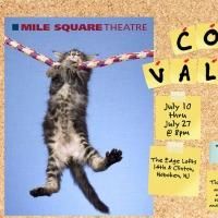 Mile Square Theatre Presents Steven Levenson's CORE VALUES, 7/10-27