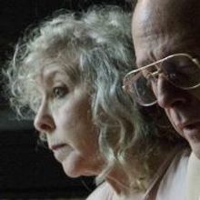 Review:  Margulies' Disturbing Comedy THE MODEL APARTMENT