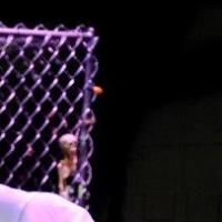 BWW Reviews: TREVOR at Theatre UCF