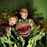 BWW Reviews: LITTLE SHOP OF HORRORS is a Great Big Hit!