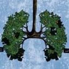 Alfred Uhry's APPLES & ORANGES Makes Word Premiere at Atlanta's Alliance Theatre Toni