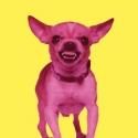 Boise Contemporary Theater Presents TIGERS BE STILL, 10/17