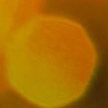 Jamie Campbell Returns to Gorilla Tango Bucktown with TIME MACHINE